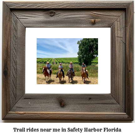 trail rides near me in Safety Harbor, Florida